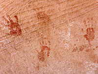 Group of handprints