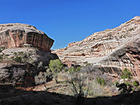 White Canyon