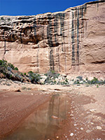 Reflections on the stream