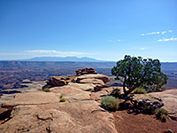 White Rim Overlook Trail