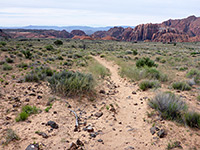 Level, sandy path