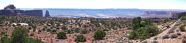 Bushy plateau near the start of the trail