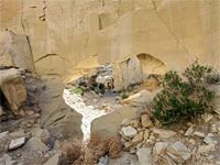 Wiregrass Natural Bridge