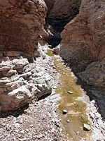 Wittwer Canyon