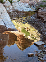 Reflections on a pool