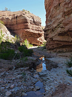 Wittwer Canyon