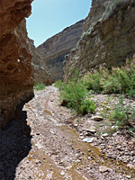 Stony streambed