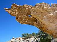 Sandstone protrusion