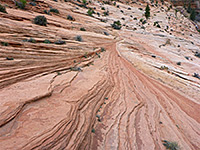 Cross-bedded sandstone