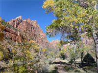 Trail near Zion Lodge