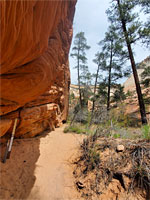 Path to the petroglyphs