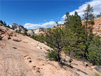 Shallow canyon