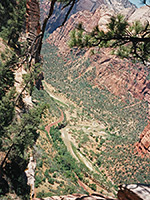 Zion Canyon, from the start of Hidden Canyon