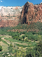 Zion cliffs