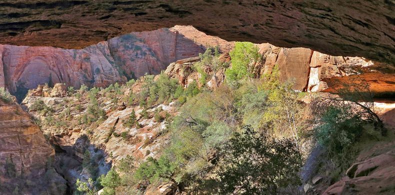 Alcove along the trail