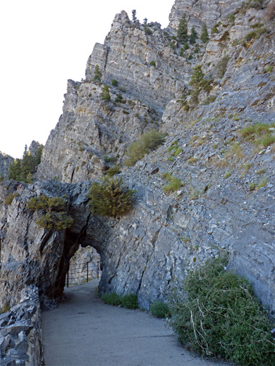 Short tunnel along the path to Timpanogos Cave