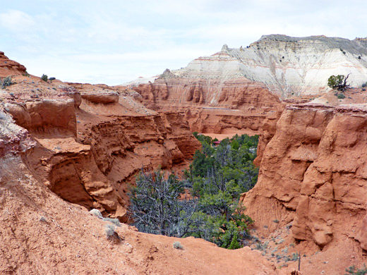 Above the ravine