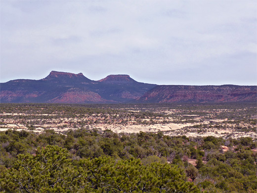 Bears Ears Buttes