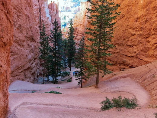 Switchbacks on the Navajo Loop Trail