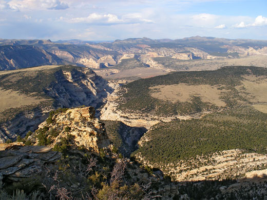 Canyon Overlook