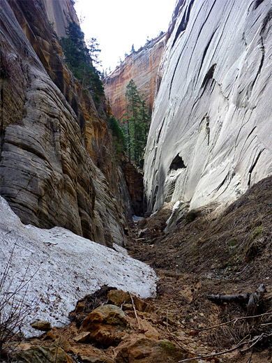 Canyon between Cathedral Mountain and Mount Majestic