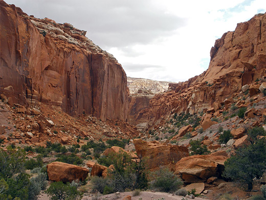 Chimney Rock Canyon