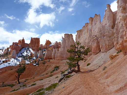 Trail below a line of hoodoos, near Chinese Wall