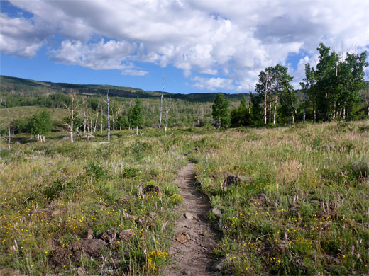 Start of the trail to Chriss Lake