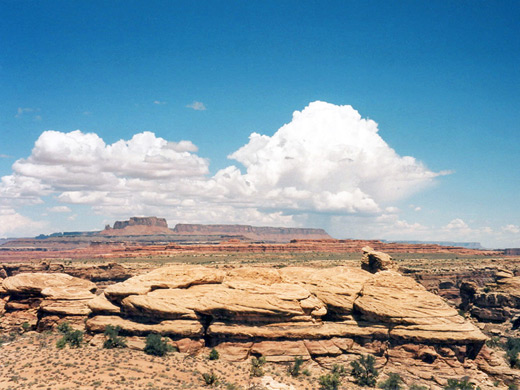 Rocks above the confluence of the Green and Colorado rivers