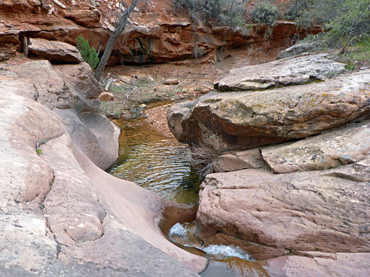 Enclosed section of the Coalpits Wash streambed