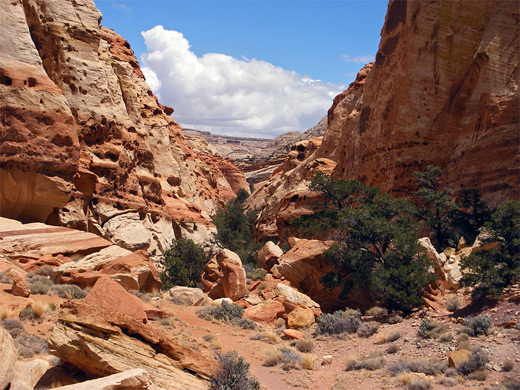 West side of Capitol Reef