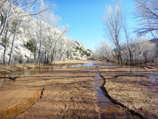 Cottonwood Creek - north