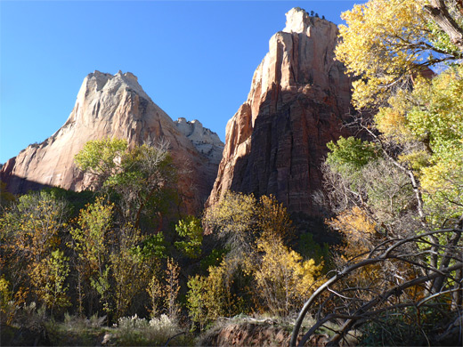 Kayenta Trail