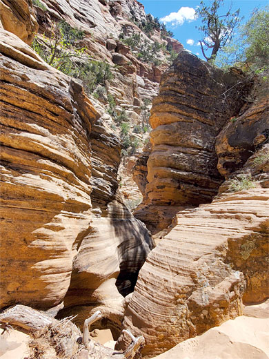 Narrows