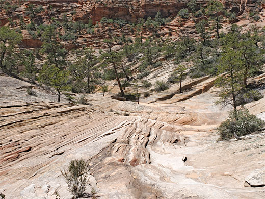 Cross-bedded sandstone