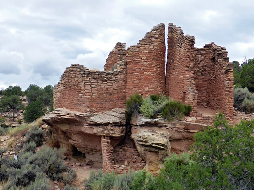 Cutthroat Castle