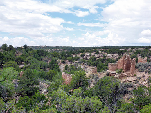Wide view of the Cutthroat Castle ruins