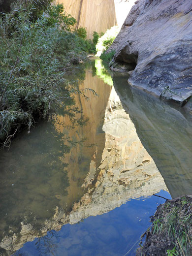 Reflections on a pool