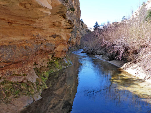 Stream in Death Hollow