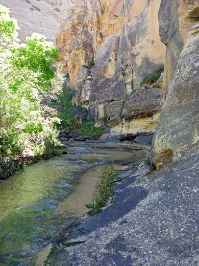 Bend in the deep canyon of Death Hollow