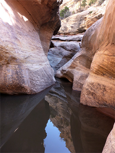 Deer Canyon