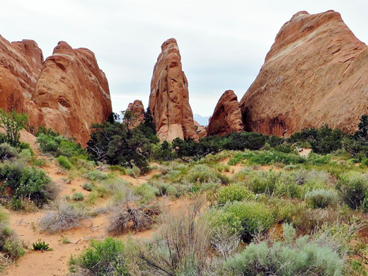 Bushes, fins and narrow ravines