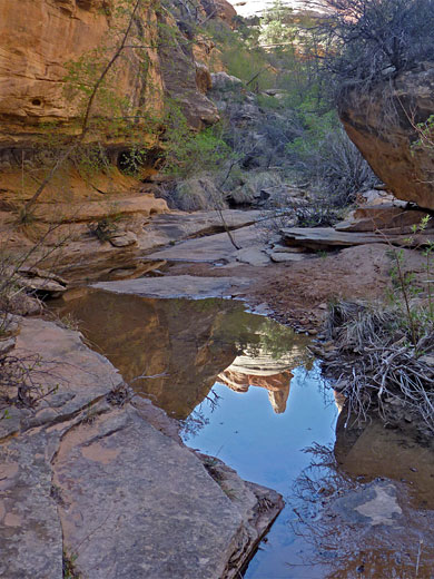 Shallow pool