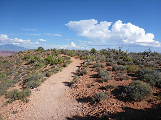 East Rim Trail, Dead Horse Point