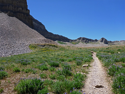 Level trail at the pass west of Emerald Lake