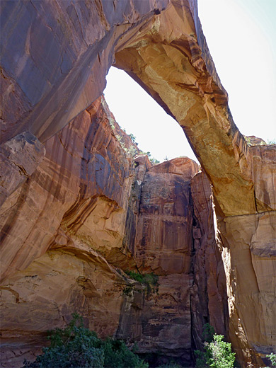 Underneath Escalante Natural Bridge