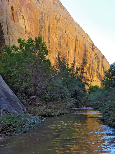 Orange cliff