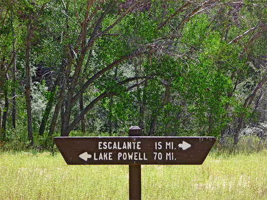Sign near the Escalante River trailhead