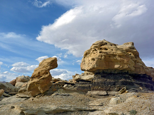 Sandstone and coal