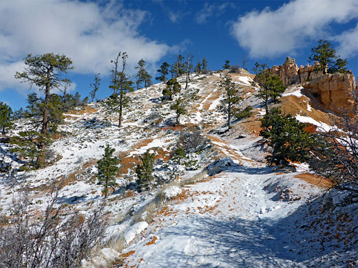 Snow on the Rim Trail